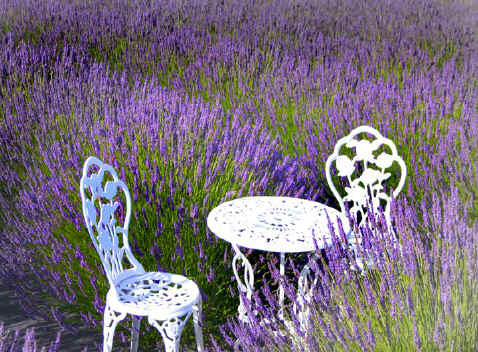 Table & Chairs at Purple Ridge Lavender Hermiston Oregon